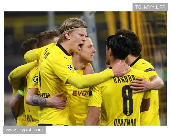 哈兰德欧冠最快20球纪录刷新 进球效率持续提升