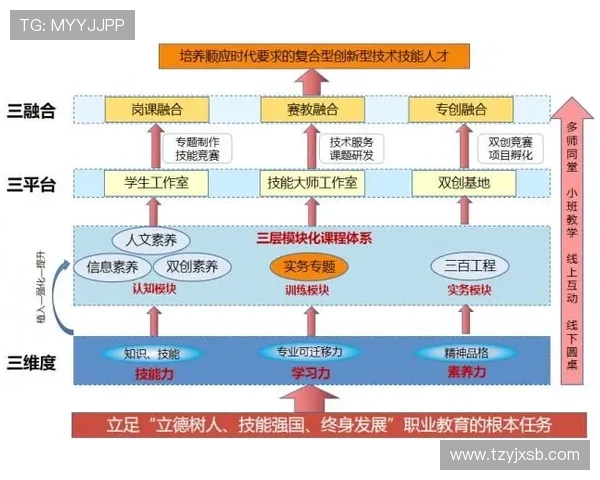 球队战术适配研究：当前阶段各队体系融合与实战表现分析