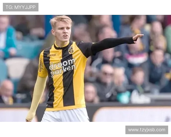 厄德高：从新星到领袖的生涯进阶解析