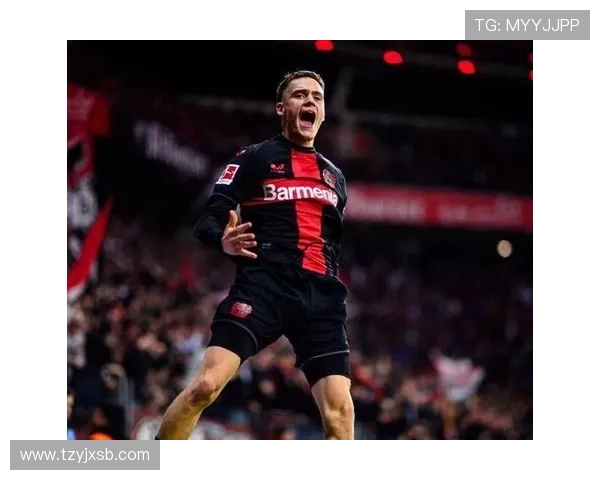 维尔茨德甲不败夺冠核心：生涯巅峰解析