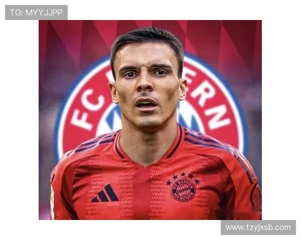 帕利尼亚：从葡超主力到英超重金引援的生涯跃迁