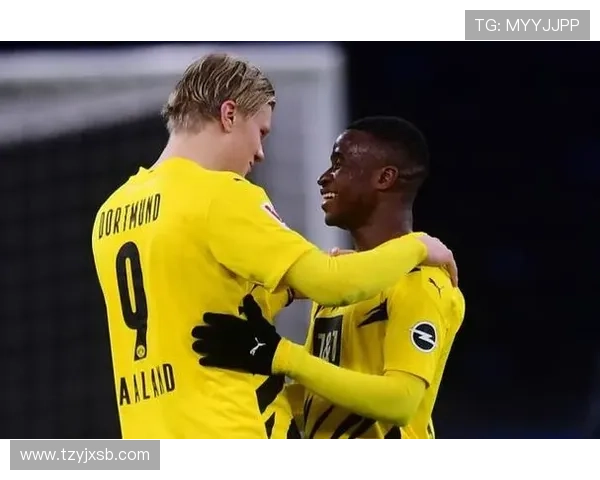 多特蒙德的“青春风暴”正酝酿风暴？战术困境与体系依赖正成致命隐患